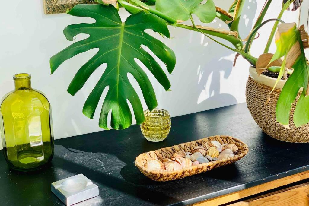 Begonia City Center Apartment 230 By Namaste Elite Torremolinos Ngoại thất bức ảnh