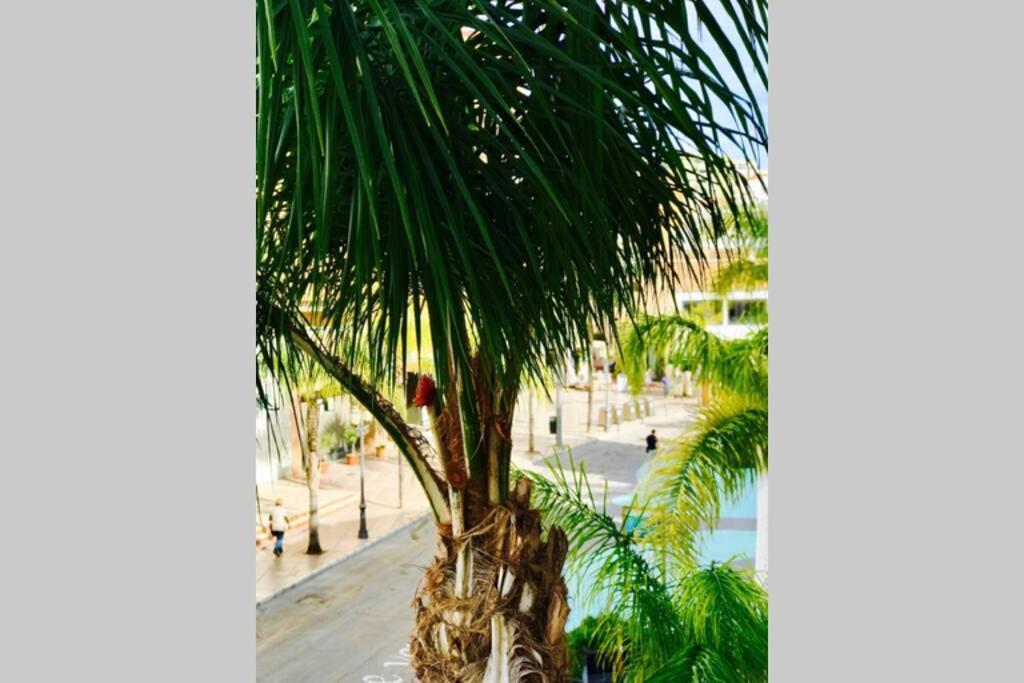 Begonia City Center Apartment 230 By Namaste Elite Torremolinos Ngoại thất bức ảnh